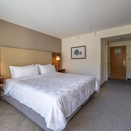 Holiday Inn San Jose La Sabana By Ihg Eksteriør billede
